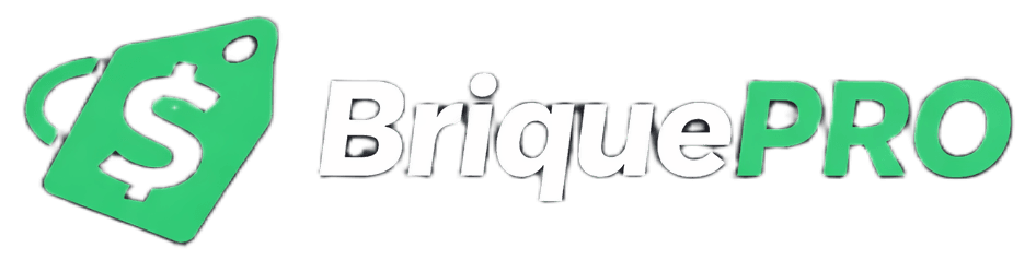 BriquePRO